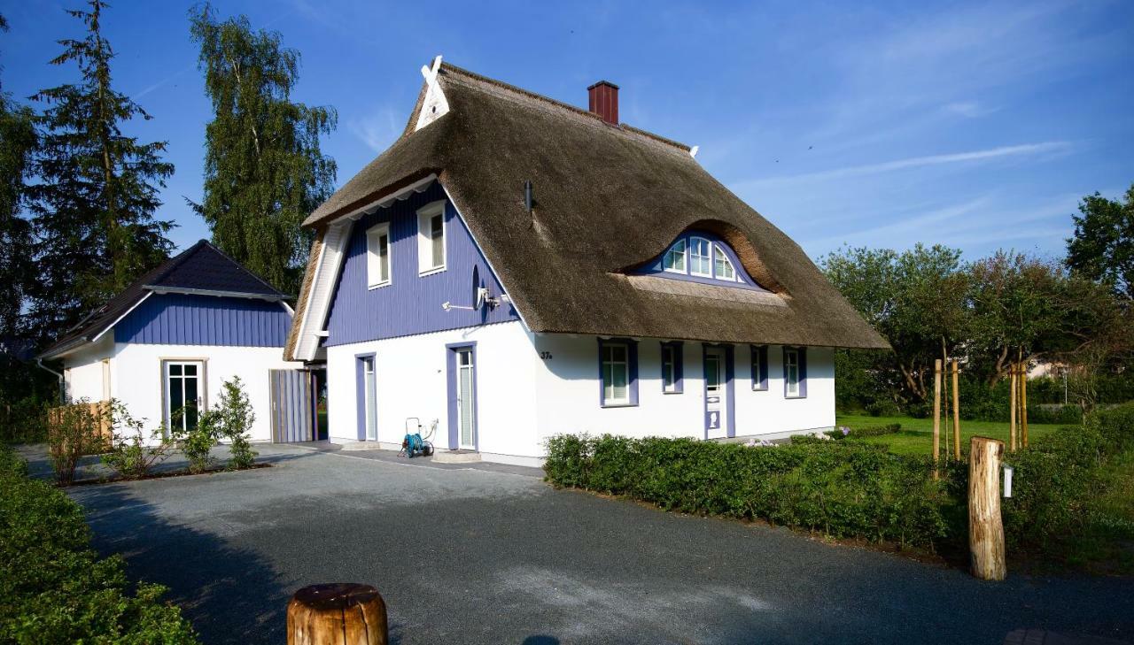 Haus Meerblau Born Dış mekan fotoğraf